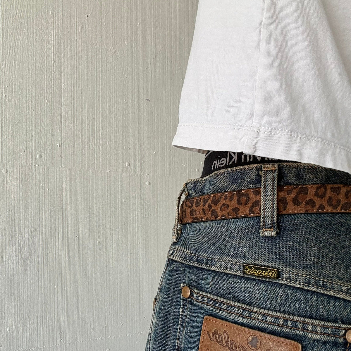 Brown Suede Leopard Print Classic Skinny Belt